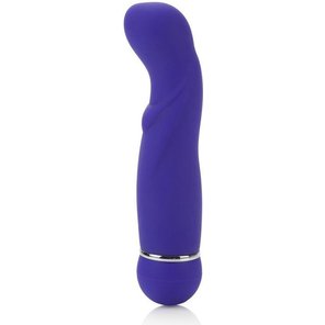  Фиолетовый вибромассажер Posh 10-Function Petite Teaser 4 Purple 14,7 см 