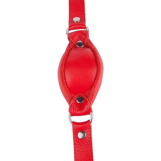 Красный кожаный кляп на регулируемых ремешках - BDSM accessories. Фотография 5.