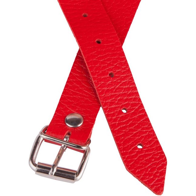Красный кожаный кляп на регулируемых ремешках - BDSM accessories. Фотография 7.