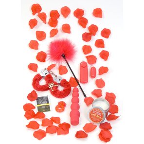  Подарочный набор секс-игрушек и аксессуаров RED ROMANCE GIFT SET 