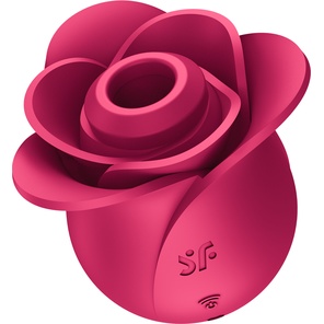  Ярко-розовый вакуум-волновой стимулятор Pro 2 Modern Blossom 