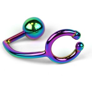  Радужное эрекционное кольцо с анальным плагом Rainbow Horse Shoe Ring with 40mm Diameter Ball 