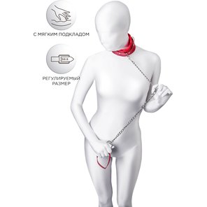  Красный ошейник с подкладкой из меха 