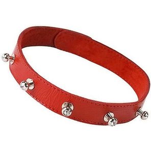  Красный кожаный ошейник с фурнитурой со стразами 