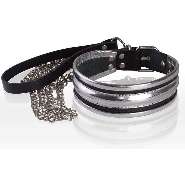 Серебристо-черный ошейник с поводком - BDSM accessories