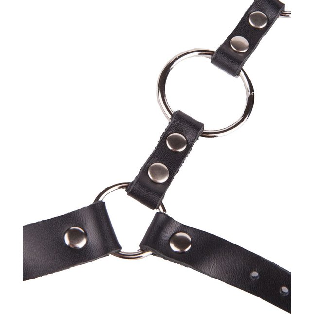 Кляп-кольцо на чёрных кожаных ремешках с застёжкой - BDSM accessories. Фотография 7.