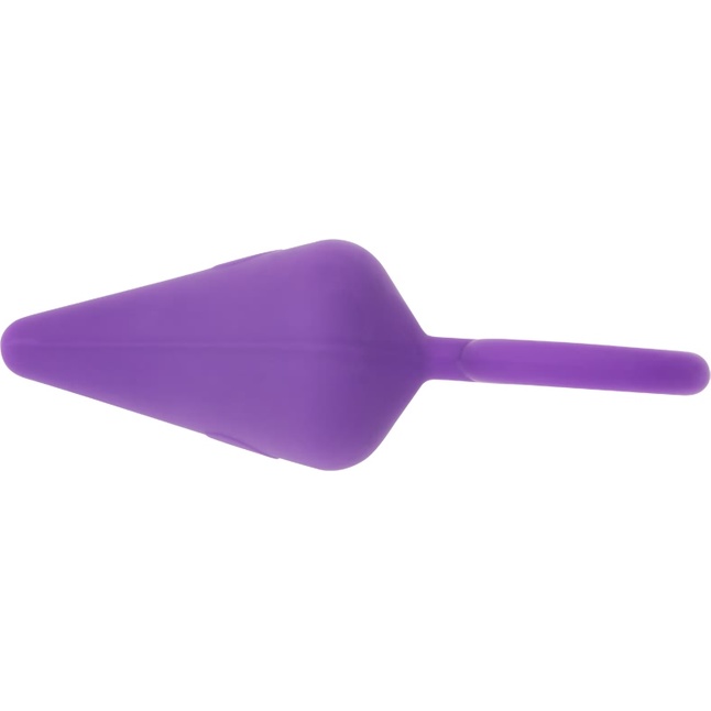 Фиолетовая анальная пробка с кольцом Candy Plug M - 10,1 см - Sweet Breeze. Фотография 3.