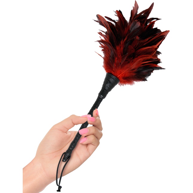 Кисточка с красно-чёрными пёрышками Frisky Feather Duster - 36 см - Fetish Fantasy Series. Фотография 3.
