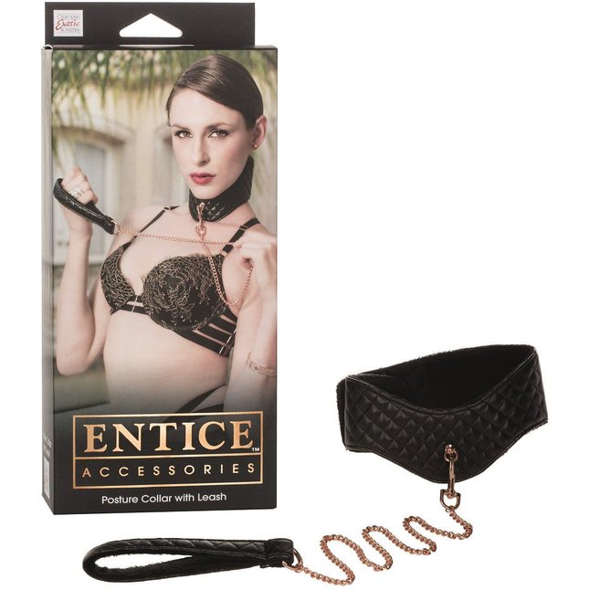 Ошейник с поводком Entice Posture Collar with Leash - Entice. Фотография 2.