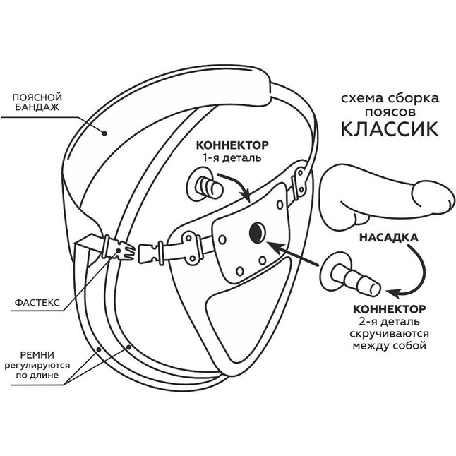 Реалистичная насадка-фаллос на трусиках с плугом - 19 см - HARNESS CLASSIC. Фотография 10.