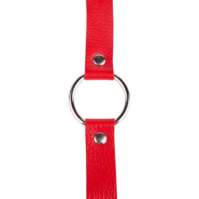 Кляп-кольцо на красных ремешках - BDSM accessories. Фотография 5.