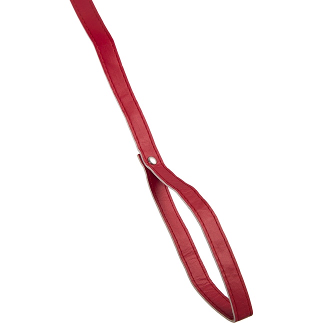 Красный ошейник с металлической фурнитурой. Фотография 5.