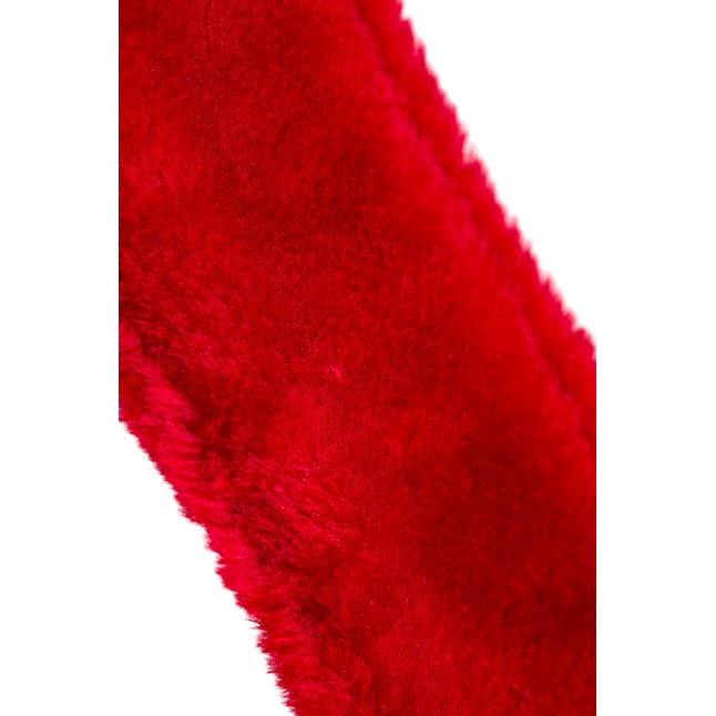 Красный ошейник с металлической фурнитурой. Фотография 10.