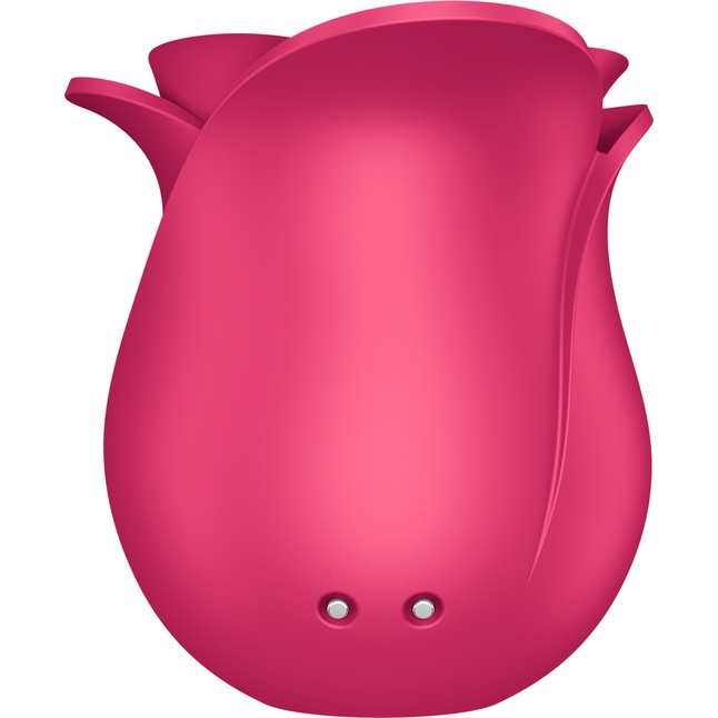 Ярко-розовый вакуум-волновой стимулятор Pro 2 Modern Blossom. Фотография 6.