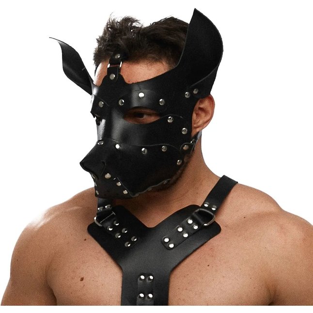 Черная кожаная маска «Собака»