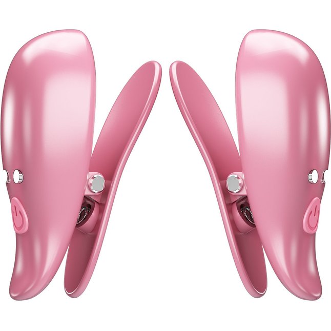 Розовые вибромассажеры для сосков с пультом ДУ Cayley - Pretty Love