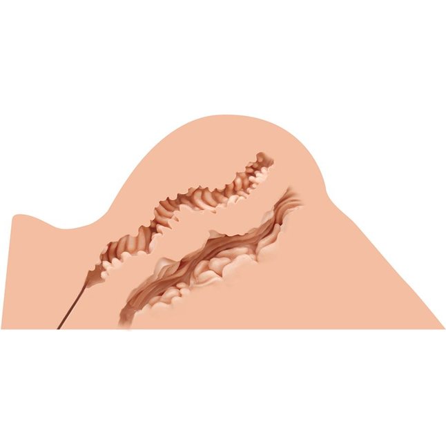 Мастурбатор-полуторс Naked Factory Hannah. Фотография 2.