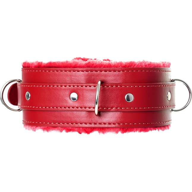 Красный ошейник с подкладкой из меха - Anonymo. Фотография 3.