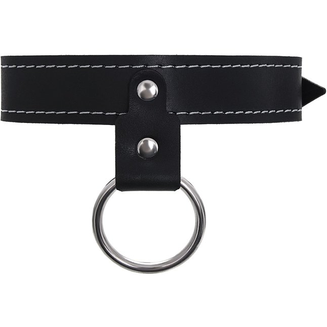 Черный узкий однослойный ошейник с серебристым поводком-цепочкой. Фотография 3.