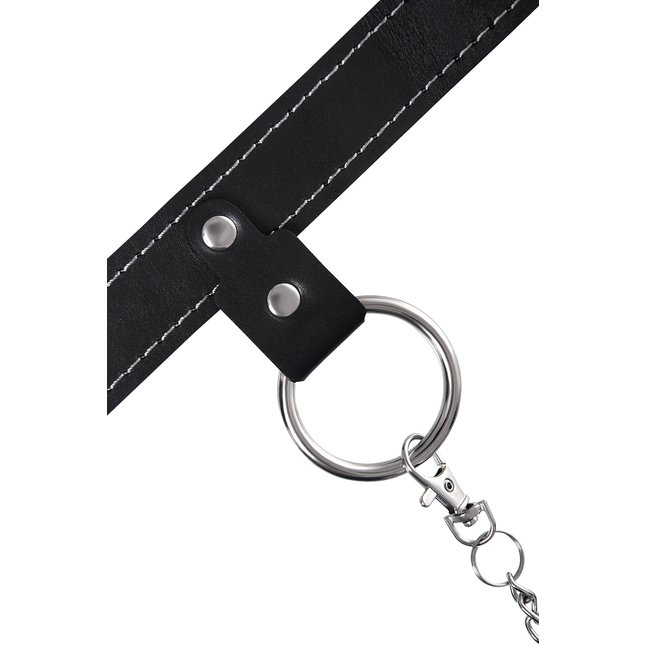 Черный узкий однослойный ошейник с серебристым поводком-цепочкой. Фотография 7.