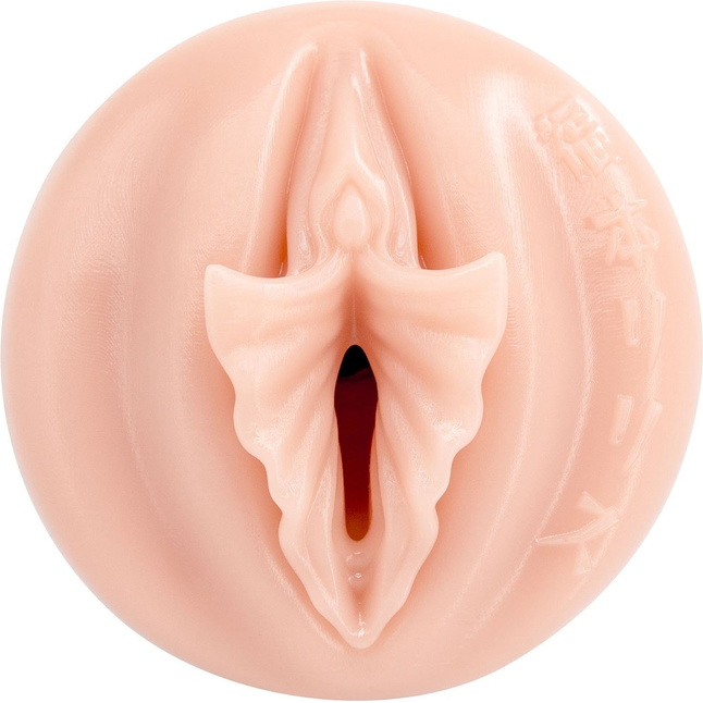 Мастурбатор-вагина Fleshlight Fantasy - Lilith Fukumoto Shokushu. Фотография 3.