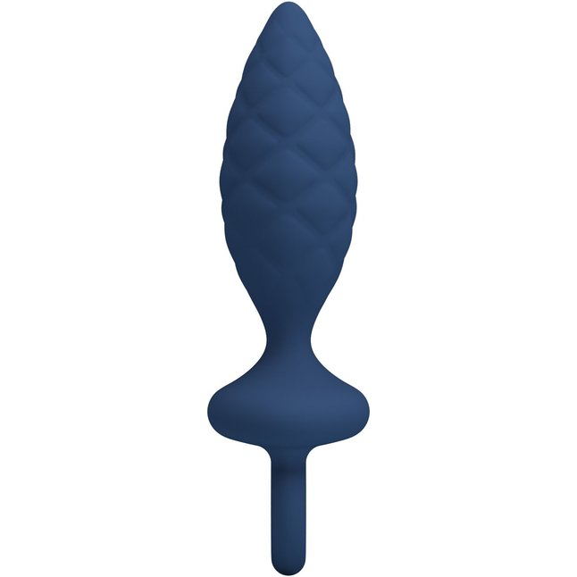 Синяя анальная пробка с кольцом Butt Plug with Loop L - 15,7 см - Mr.Play. Фотография 4.