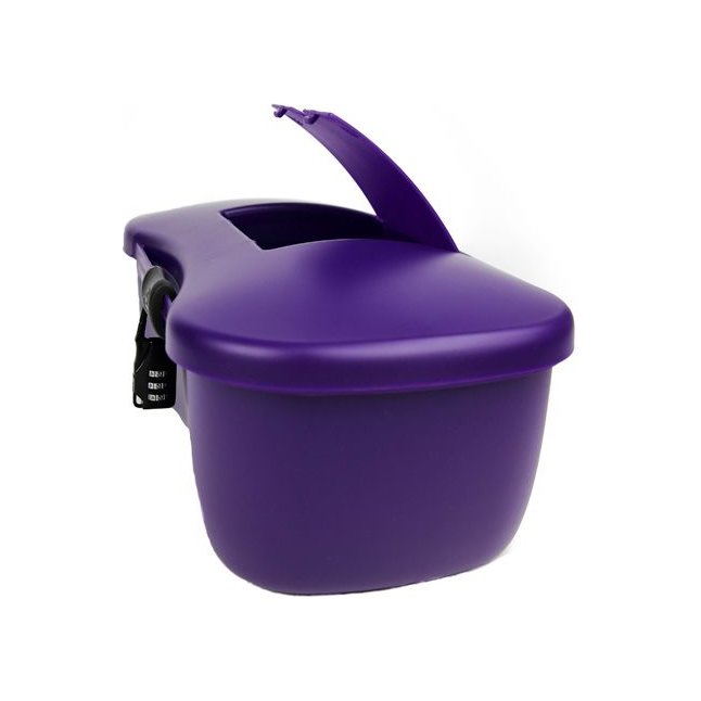 Фиолетовый ящичек для хранения секс-игрушек Joyboxx. Фотография 3.