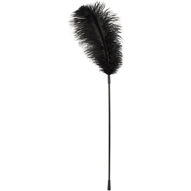 Чёрное перо на палочке - 70 см - Bad Kitty