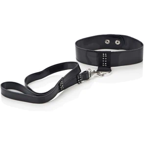  Ошейник и поводок Diamond Leash and Collar Set 