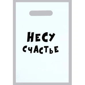  Подарочный пакет Несу счастье 20 х 30 см 
