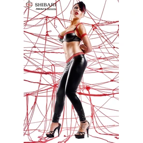  Эффектный комплект Tomiko с веревками для связывания 