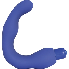  Синий массажёр простаты с вибрацией Renegade Vibrating Massager III 