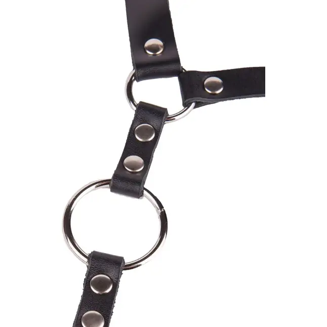 Кляп-кольцо на чёрных кожаных ремешках с застёжкой - BDSM accessories. Фотография 5.