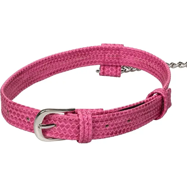 Розовый ошейник с поводком Tickle Me Pink Collar With Leash - Tickle Me Pink. Фотография 2.