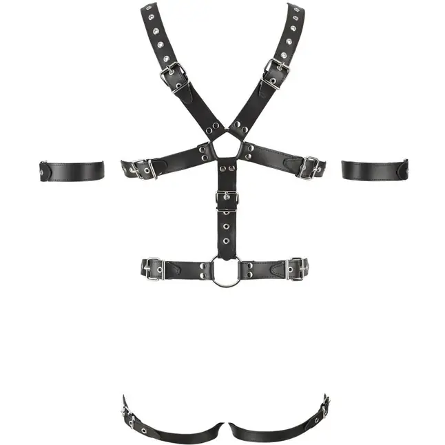 Мужское боди-харнесс с кольцом для пениса - размер L/XL - Zado. Фотография 4.