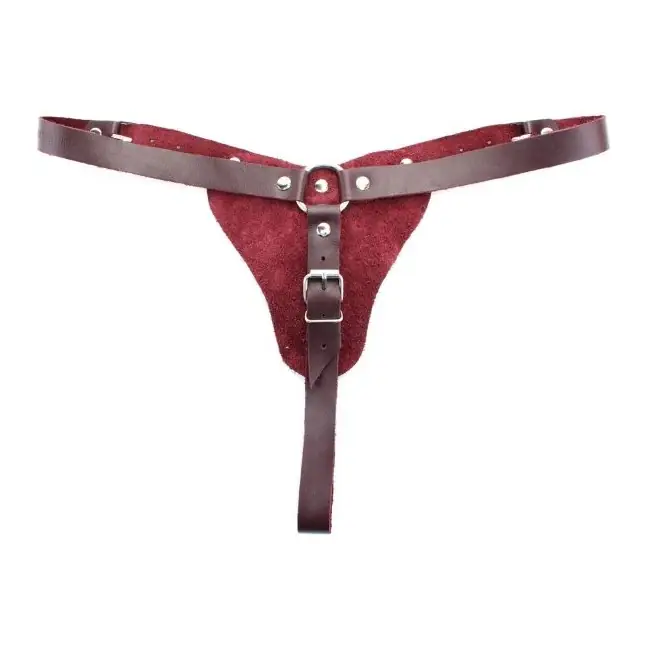 Бордовые трусики с кольцом для насадок Maroon Panties - Lady s Arsenal. Фотография 2.