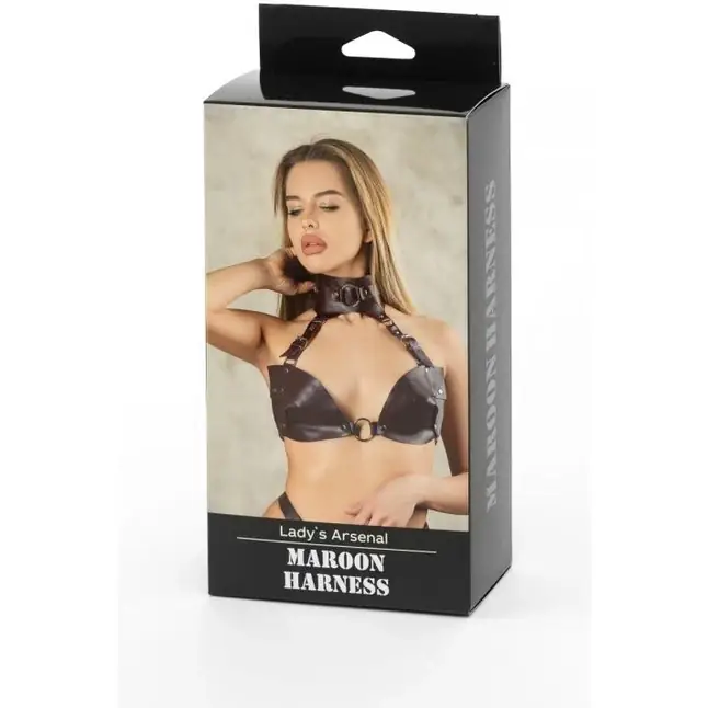 Бордовая сбруя из ошейника с лифом Maroon Harness - Lady s Arsenal. Фотография 3.