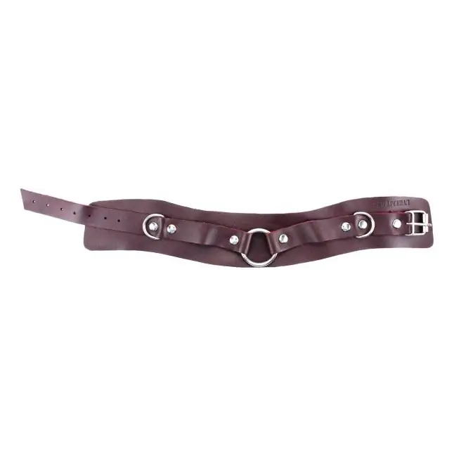 Бордовый широкий ошейник с кольцом Maroon Collar - Lady s Arsenal. Фотография 2.