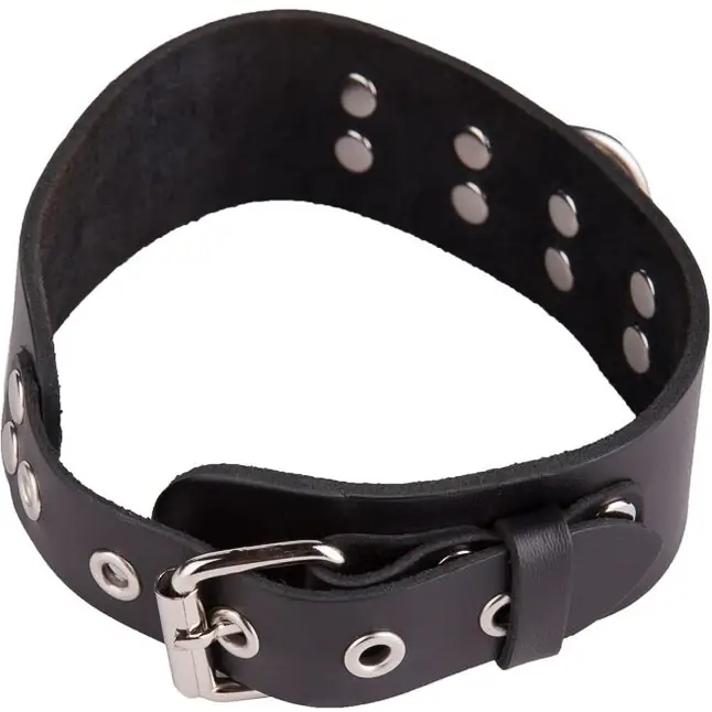 Черный кожаный ошейник с кольцом и клепками - BDSM accessories. Фотография 3.