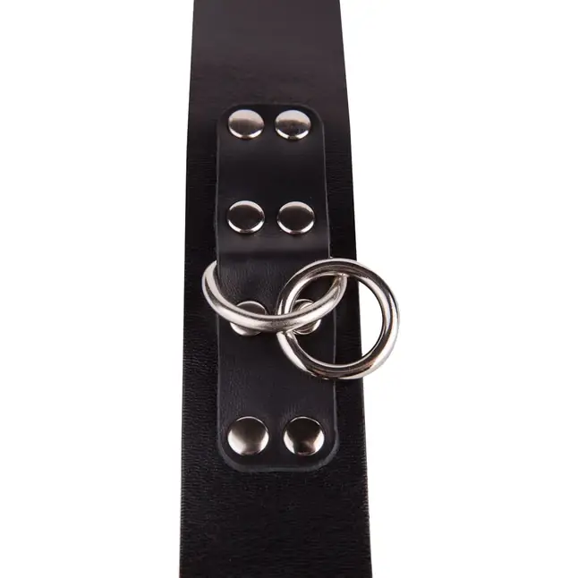 Черный кожаный ошейник с кольцом и клепками - BDSM accessories. Фотография 5.