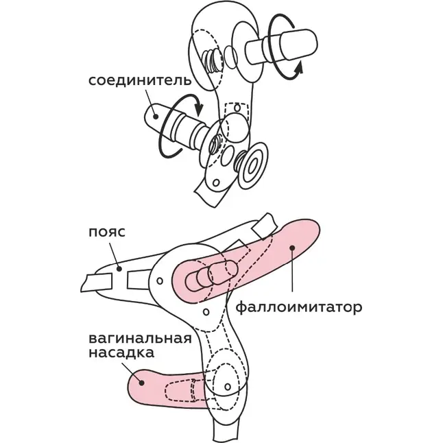 Пояс-трусики с 2 насадками Exotic-Sara - 16,5 см. Фотография 6.
