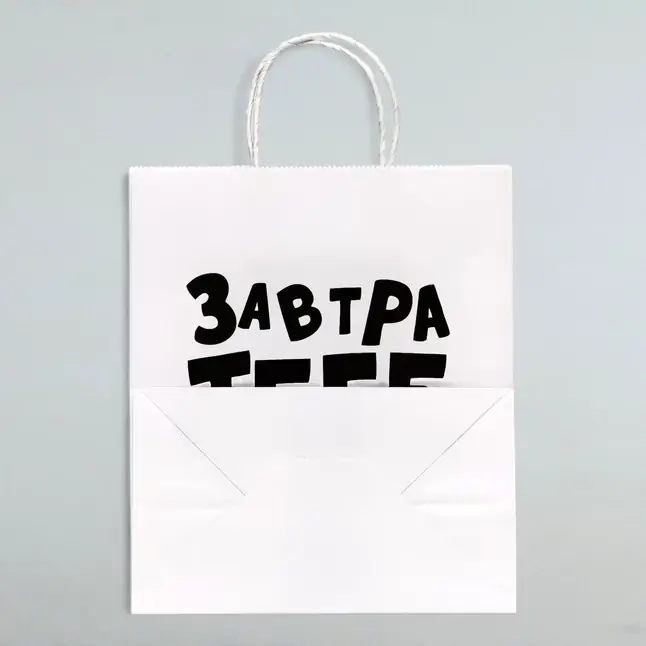 Подарочный пакет Завтра тебе будет стыдно - 30 х 24 см. Фотография 2.