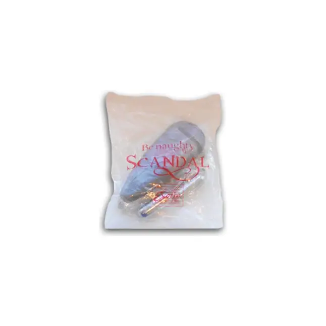 Серебристые вибропули с выносным пультом SCANDAL BULLET GWP. Фотография 2.