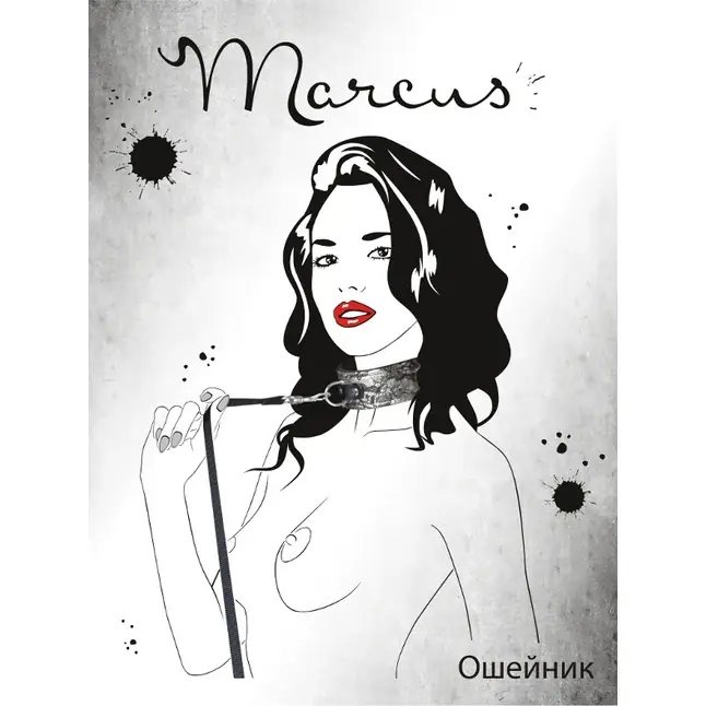 Серебристый кружевной ошейник - Marcus. Фотография 3.