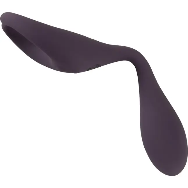 Фиолетовый универсальный вибратор Remote Controlled Couples Vibrator - You2Toys. Фотография 8.