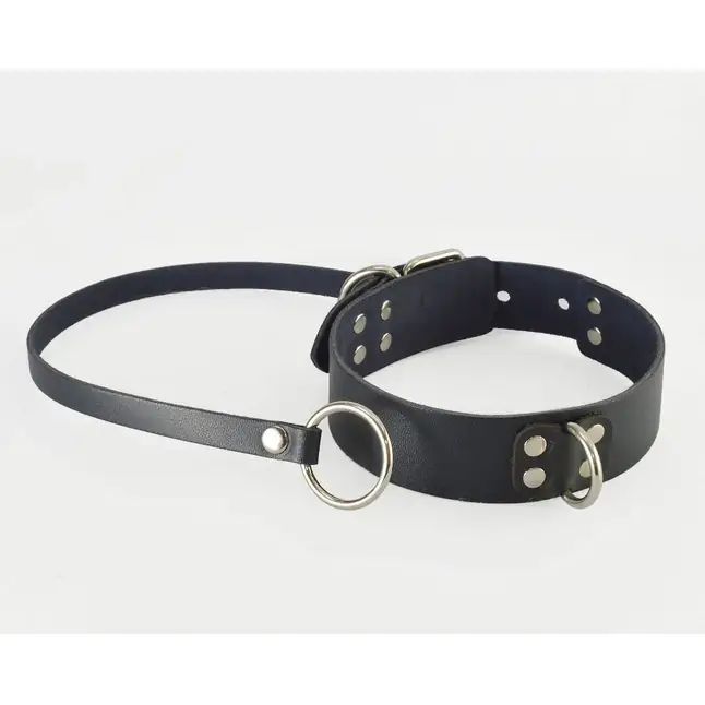 Стильный ошейник Новичок с поводком - BDSM accessories