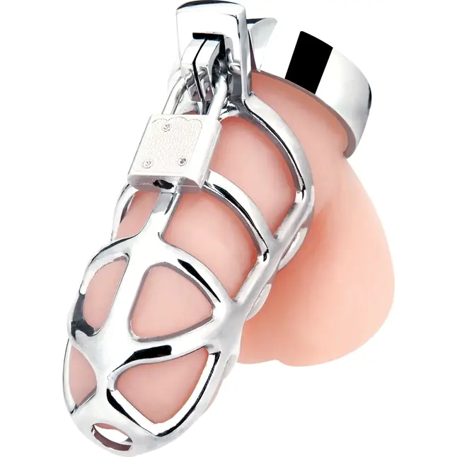 Серебристая металлическая клетка для члена с замком Enslave Cock Cage
