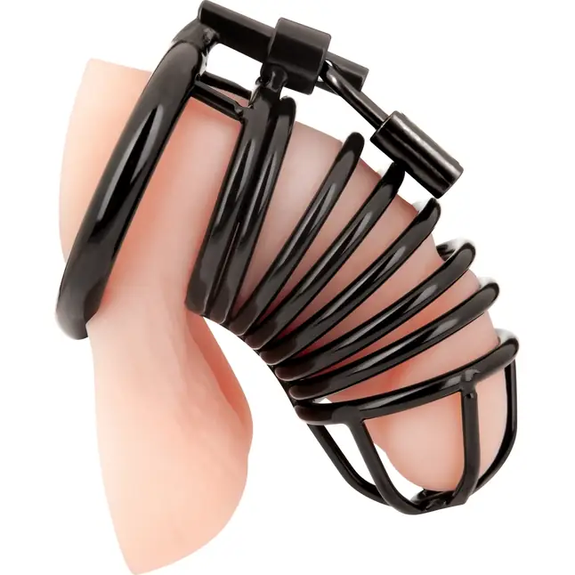 Черная металлическая клетка с замком Deluxe Chastity Cage. Фотография 3.