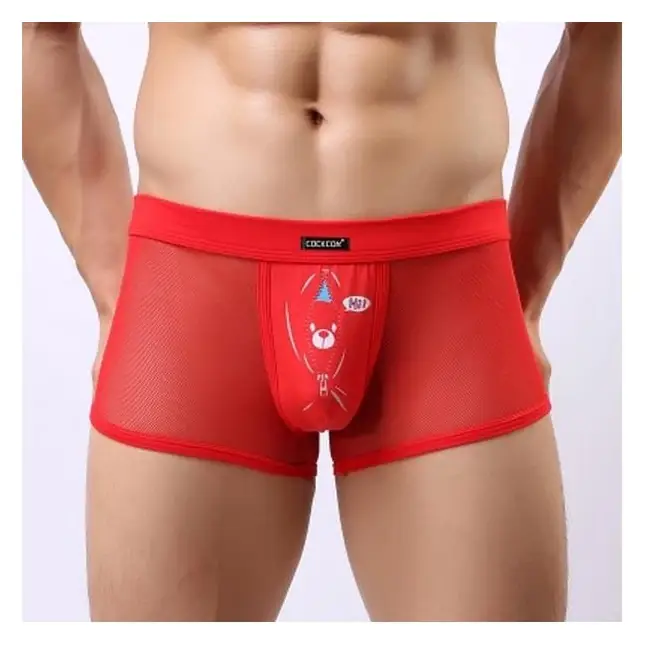 Мужские трусы-боксеры из сетки Cockcon Unzip-Me Boxer с пикантным принтом. Фотография 4.