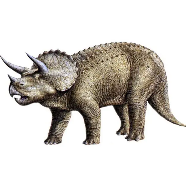 Фаллоимитатор Ceratops - 21,5 см - Dinoo. Фотография 3.